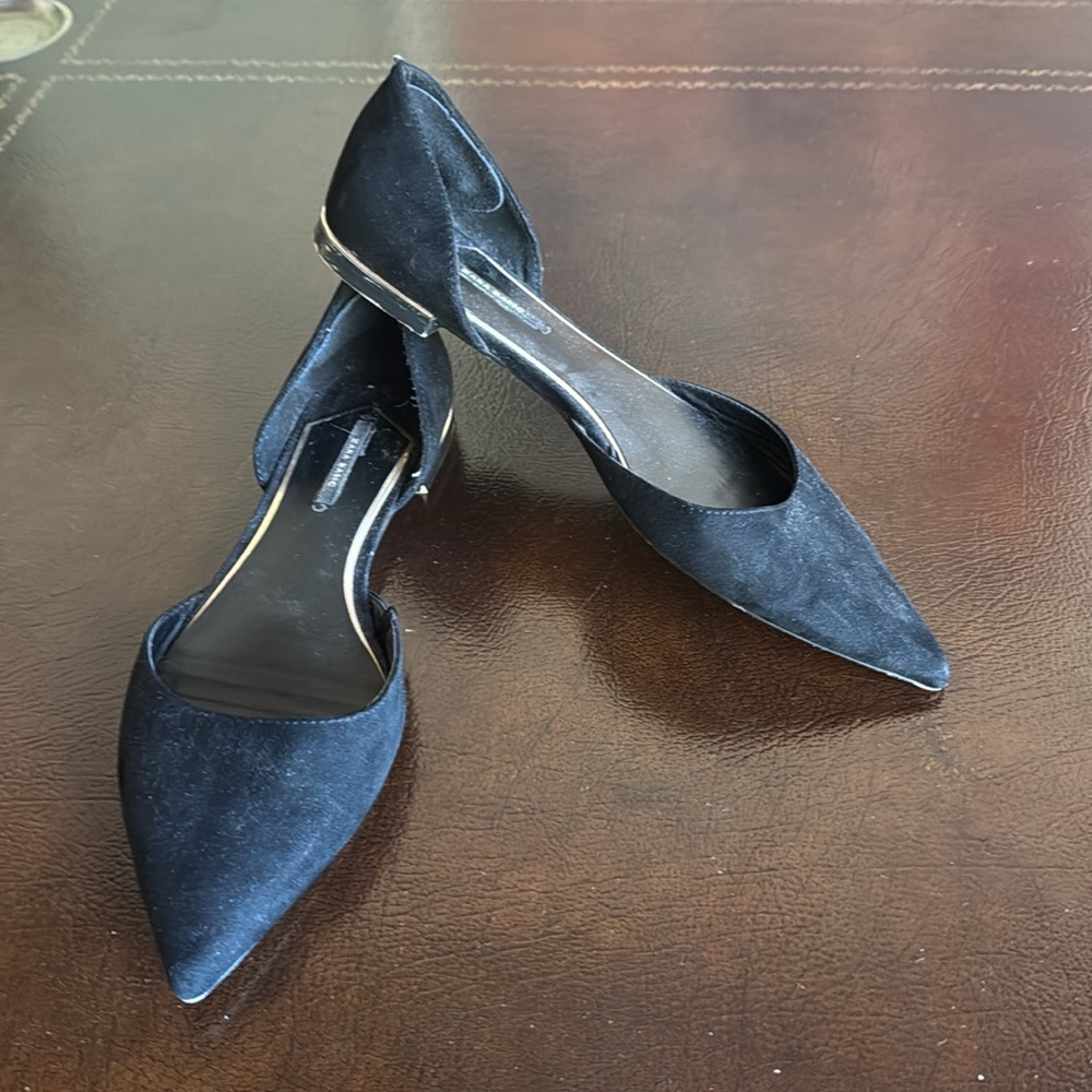 Zara Pointed Toe Flats